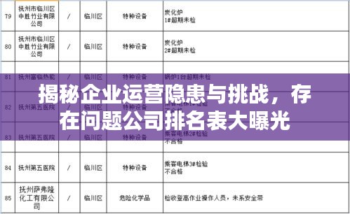 揭秘企业运营隐患与挑战,存在问题公司排名表大曝光