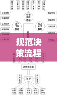 规范决策流程,提升质量与效率的关键所在