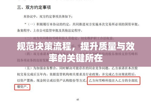 规范决策流程,提升质量与效率的关键所在