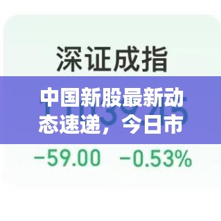 中国新股最新动态速递,今日市场走势揭秘