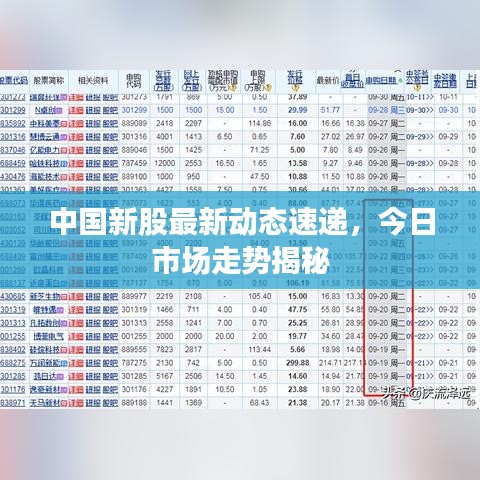 中国新股最新动态速递,今日市场走势揭秘