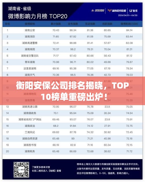 衡阳安保公司排名揭晓,TOP 10榜单重磅出炉!