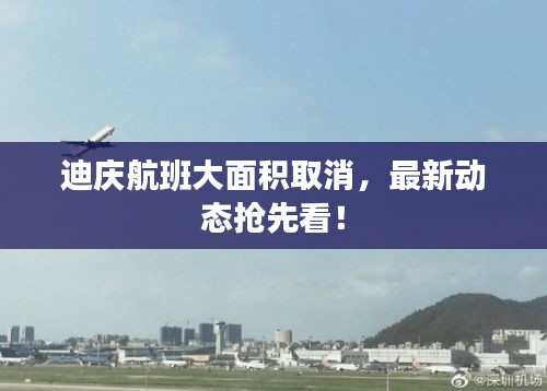 迪庆航班大面积取消,最新动态抢先看!