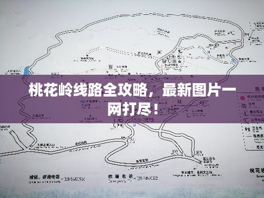 桃花岭线路全攻略,最新图片一网打尽!