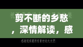 剪不断的乡愁,深情解读,感受乡愁的缠绵与共鸣