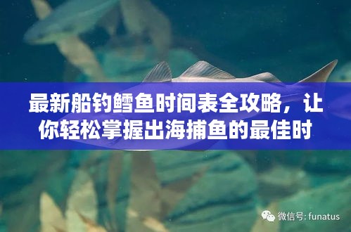 最新船钓鳕鱼时间表全攻略,让你轻松掌握出海捕鱼的最佳时机!