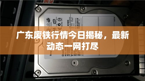 广东废铁行情今日揭秘,最新动态一网打尽
