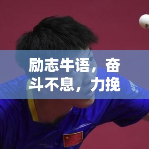 励志牛语,奋斗不息,力挽狂澜
