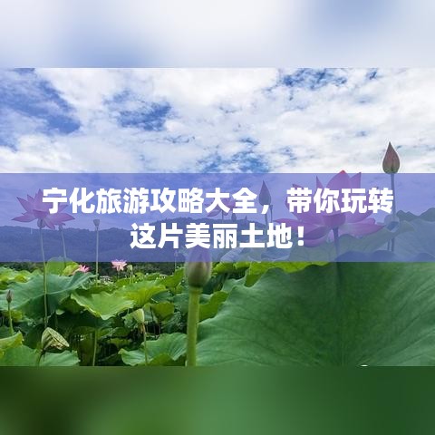 宁化旅游攻略大全,带你玩转这片美丽土地!