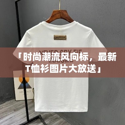 「时尚潮流风向标,最新T恤衫图片大放送」