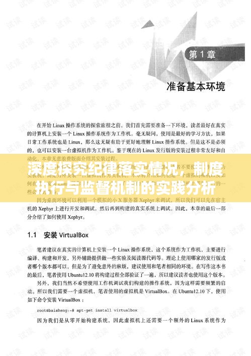 深度探究纪律落实情况,制度执行与监督机制的实践分析