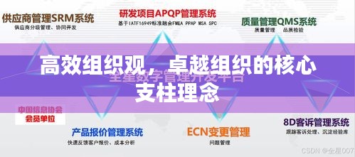 高效组织观,卓越组织的核心支柱理念