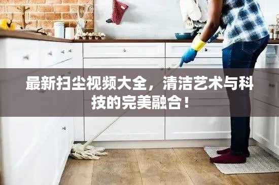 最新扫尘视频大全,清洁艺术与科技的完美融合!