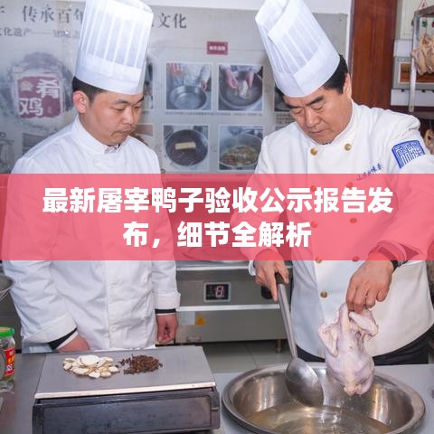 最新屠宰鸭子验收公示报告发布,细节全解析