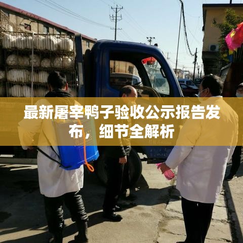 最新屠宰鸭子验收公示报告发布,细节全解析