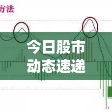今日股市动态速递,最新进仓消息与投资机会一网打尽