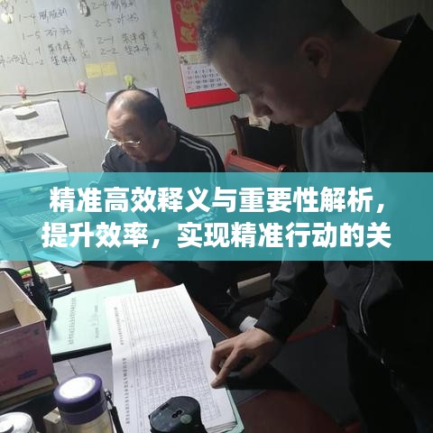 精准高效释义与重要性解析,提升效率,实现精准行动的关键所在