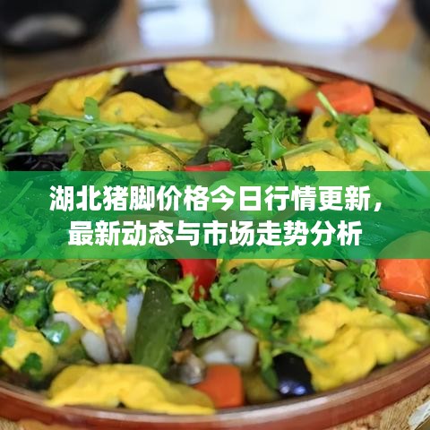 湖北猪脚价格今日行情更新,最新动态与市场走势分析