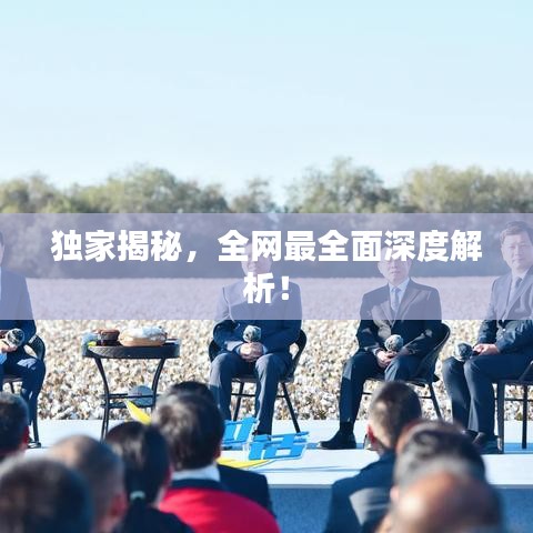 独家揭秘,全网最全面深度解析!