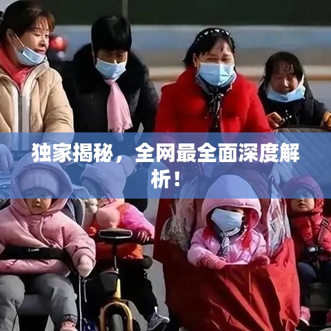独家揭秘,全网最全面深度解析!