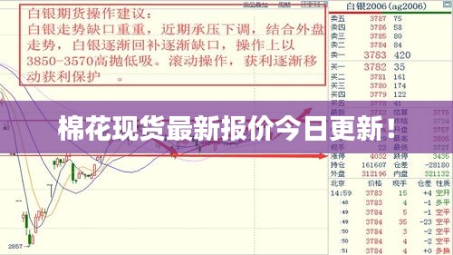 棉花现货最新报价今日更新!