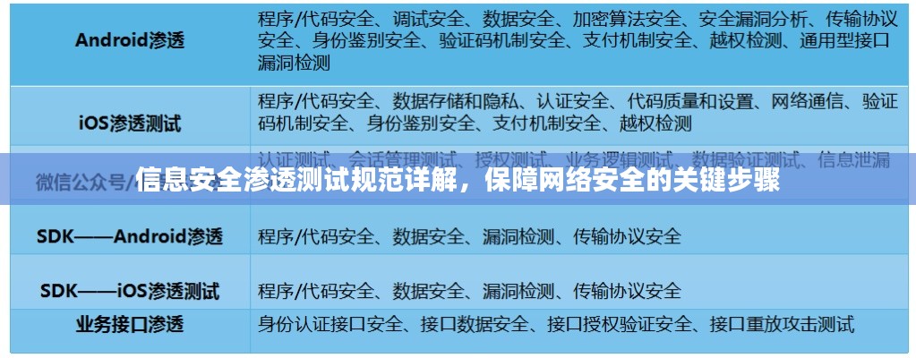 信息安全渗透测试规范详解,保障网络安全的关键步骤