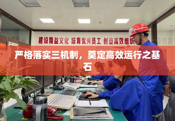 严格落实三机制,奠定高效运行之基石