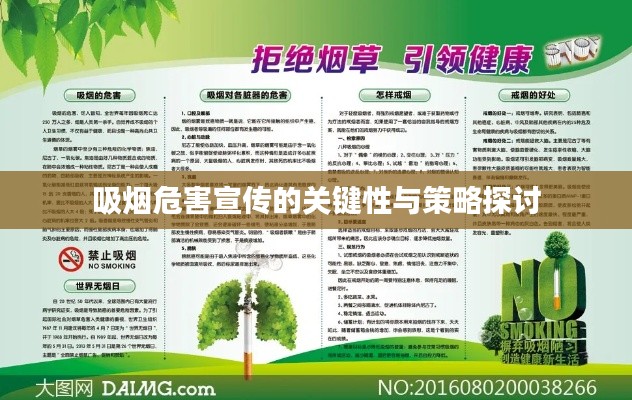吸烟危害宣传的关键性与策略探讨