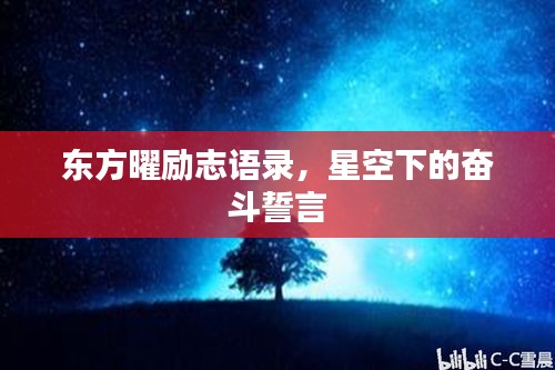 东方曜励志语录,星空下的奋斗誓言