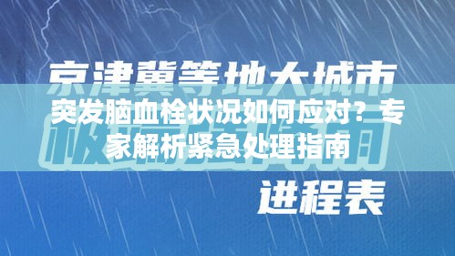 突发脑血栓状况如何应对?专家解析紧急处理指南