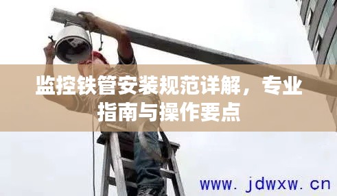 长安米贵 第2页