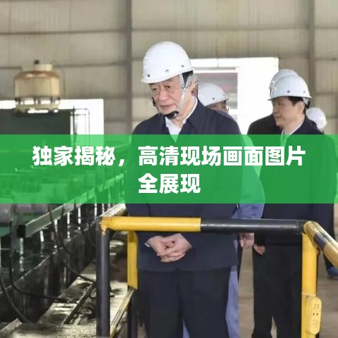独家揭秘,高清现场画面图片全展现