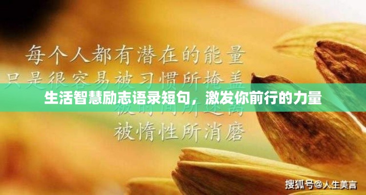 生活智慧励志语录短句,激发你前行的力量