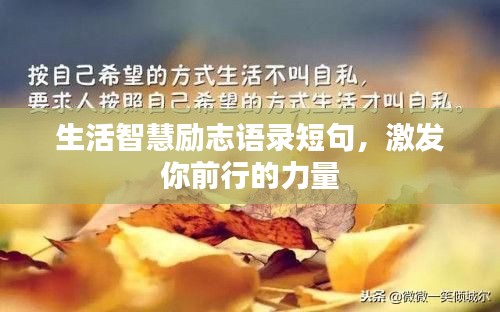 生活智慧励志语录短句,激发你前行的力量