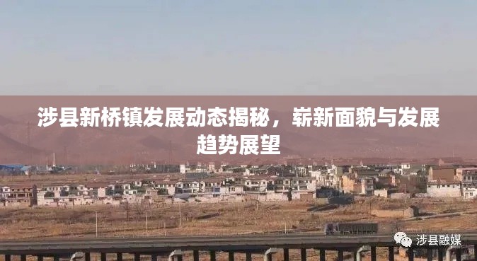 销声匿迹 第2页