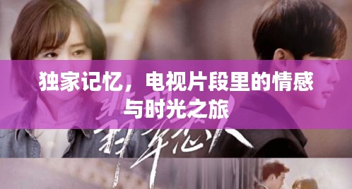 独家记忆,电视片段里的情感与时光之旅