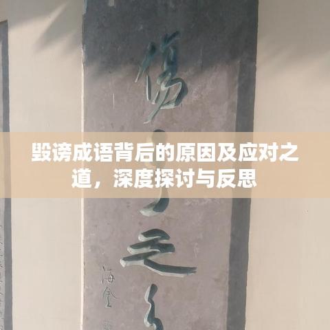 毁谤成语背后的原因及应对之道,深度探讨与反思