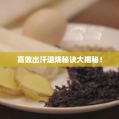 高效出汗退烧秘诀大揭秘!