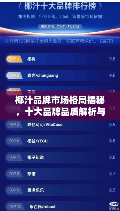 椰汁品牌市场格局揭秘,十大品牌品质解析与排名榜单