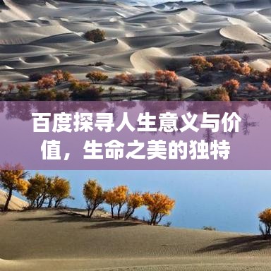 百度探寻人生意义与价值,生命之美的独特解读