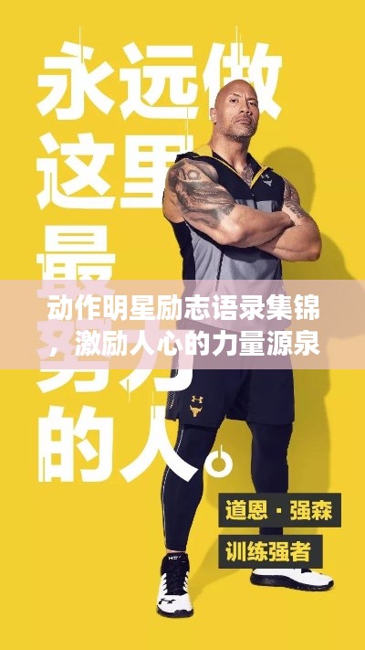 动作明星励志语录集锦,激励人心的力量源泉