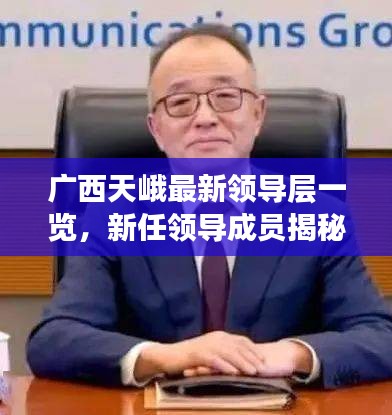 广西天峨最新领导层一览,新任领导成员揭秘!