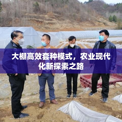 大棚高效套种模式,农业现代化新探索之路