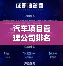 汽车项目管理公司排名揭秘,行业佼佼者影响力深度解析