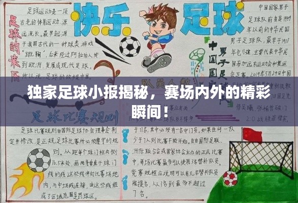 独家足球小报揭秘,赛场内外的精彩瞬间!