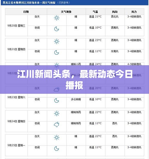 江川新闻头条,最新动态今日播报