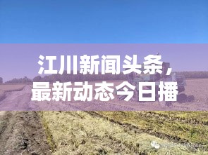 江川新闻头条,最新动态今日播报