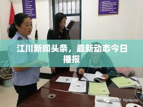 江川新闻头条,最新动态今日播报