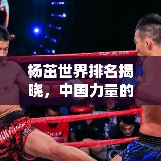 杨茁世界排名揭晓,中国力量的最新高度标杆
