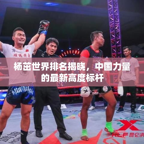 杨茁世界排名揭晓,中国力量的最新高度标杆
